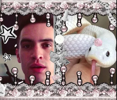 Brendon Urie 