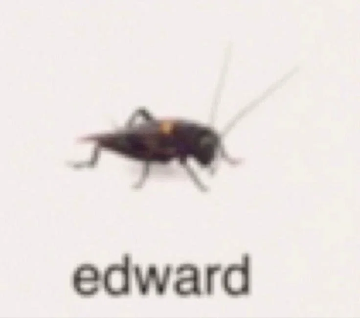 Edward