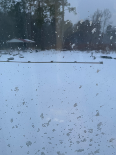 It snowed