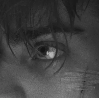 Remus Lupin / rival