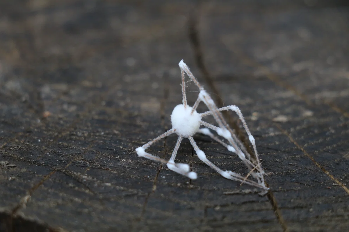 [THE DAY THAT THE FUNGUS ADAPTED TO US]