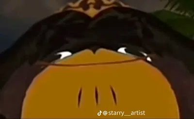 uh, guys what the flip pt2