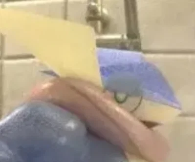 Greninja