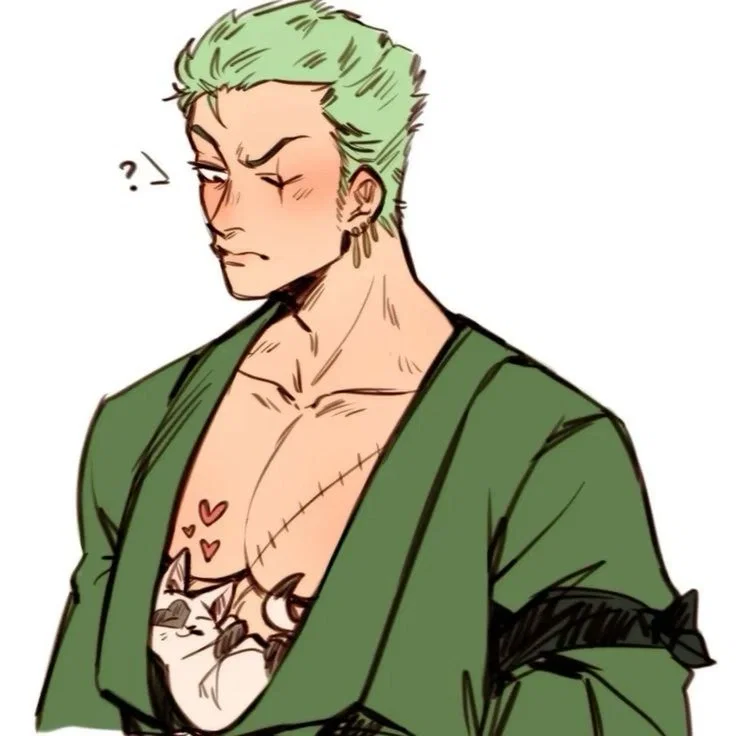 Roronoa Zoro / One Piece 