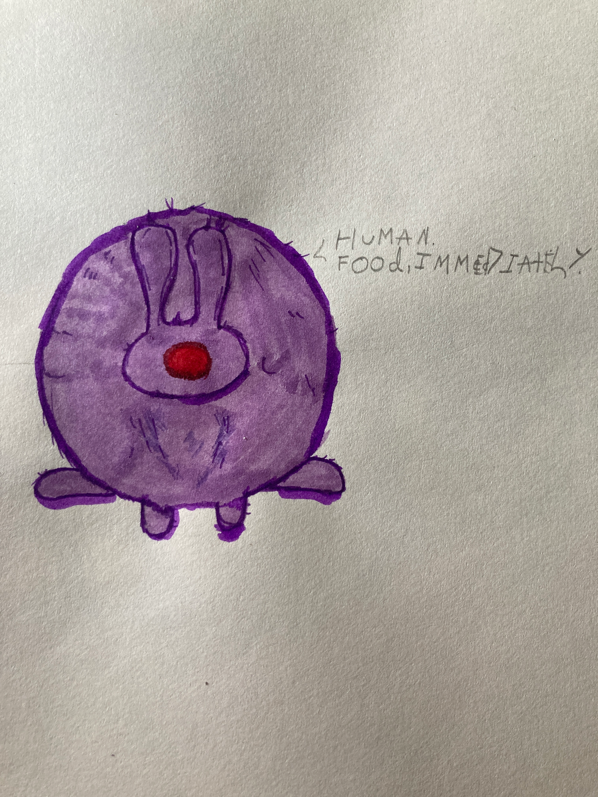 Shockwave -Bunny-