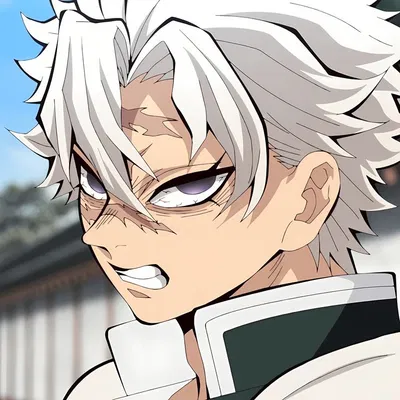 Sanemi Shinazugawa