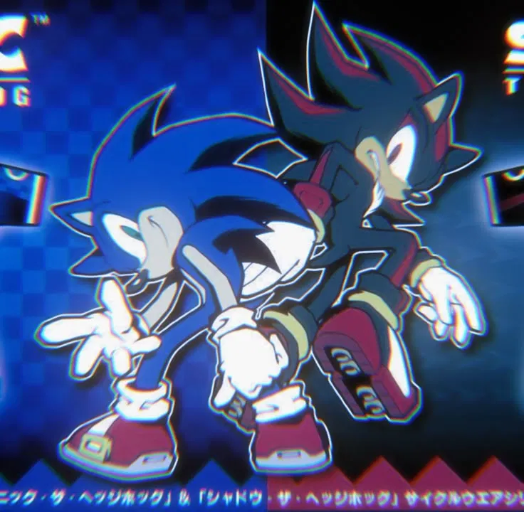 Sonic & Shadow - Trouble Duo