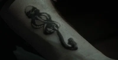 Forced Dark Mark