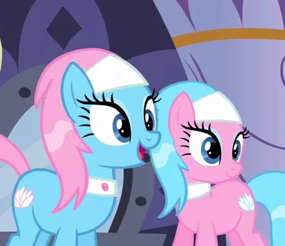 Spa Twins