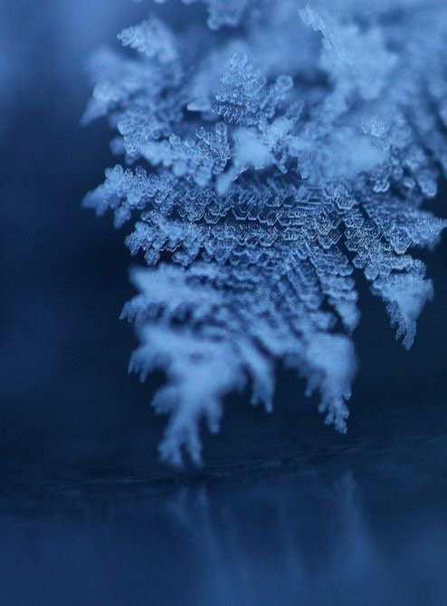 Snowfall