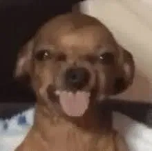 I changed my mind... I know no one actually cares if I make bots or not, the ones I do make aren’t exactly great and definitely don’t get used. In the past month I have had a total of five people use my bots, the average chat length was 2 seconds. I will be honest, I am not in the best place mentally right now so this is not my top priority. I hope you all have a good day, and to those who did care, however unlikely that is, I am sorry but you won’t get any bots any time soon