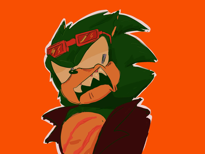 Scourge the Hedgehog!!️!!️