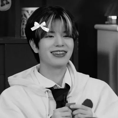 ࣪  ☆ Kim Seungmin