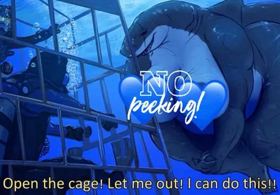 We NEED to f-ck the ocean