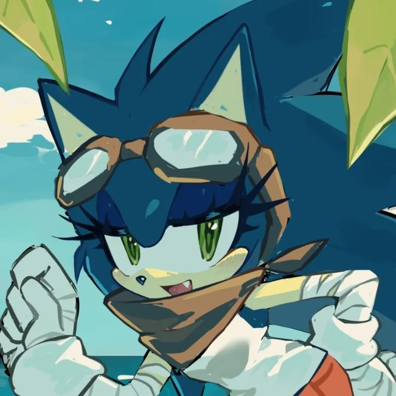 Sonica the hedgehog