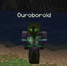 The Ouroboroid