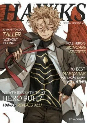 Interview with Hawks