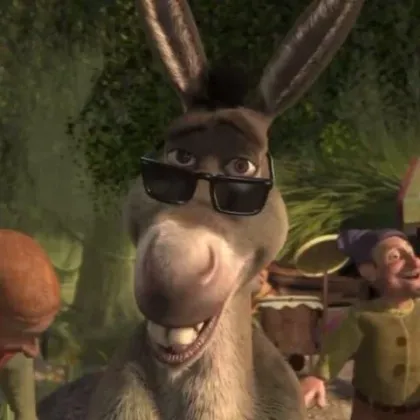 Donkey