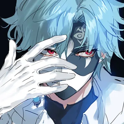Dottore Segment
