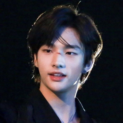 Hyunjin - Humping your plush !
