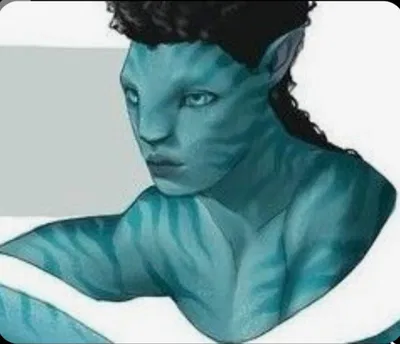 Rotxo 