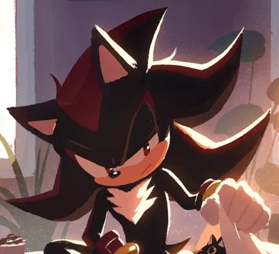 Unexpected Gift | Shadow The Hedgehog