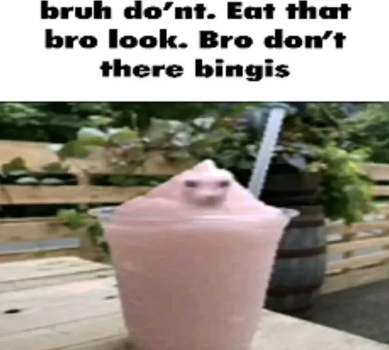 bruh do'nt. Eat that bro look. Bro don't there bingis
