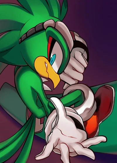 Jet The Hawk {EXTREME GEAR TUTOR}