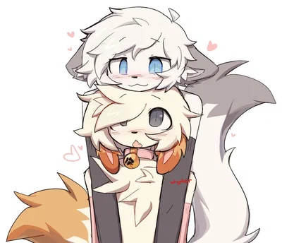 Nova & Frez (Attached Puppyboys)
