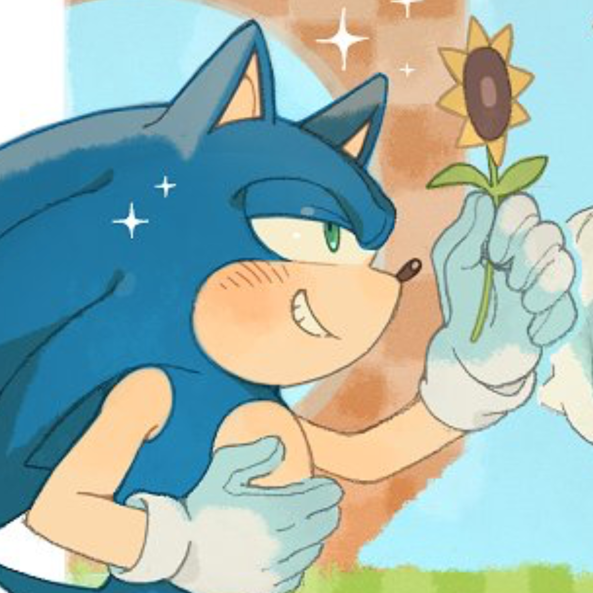 ̊+۶ৎ ̇⋆ Sonic The Hedgehog