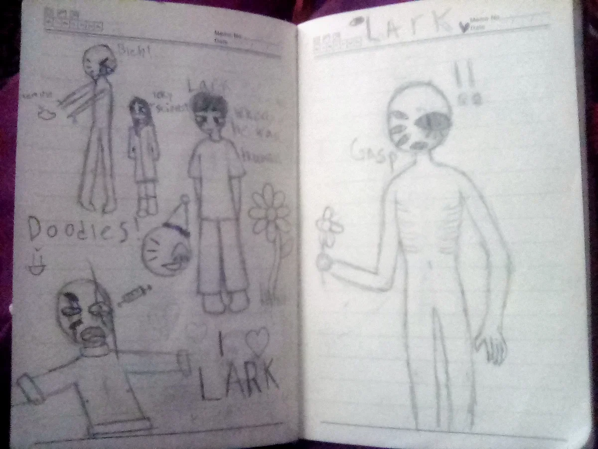 Lark V2