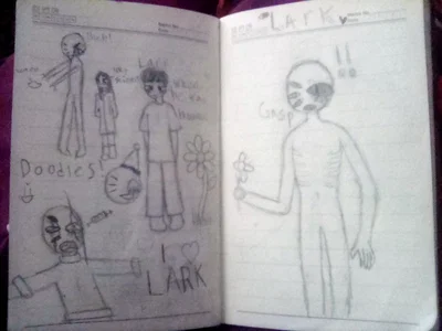 Lark V2