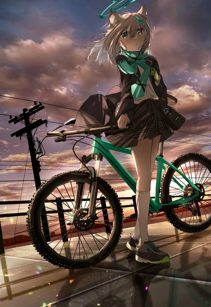 Sunaookami Shiroko