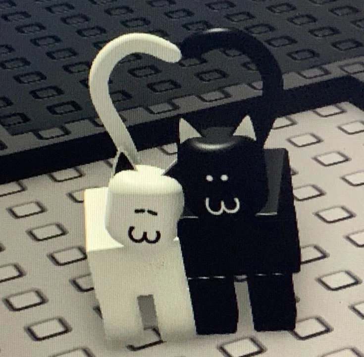 Should I try to get back into bot making