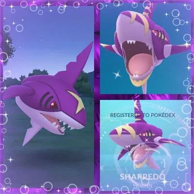 Sharpedo