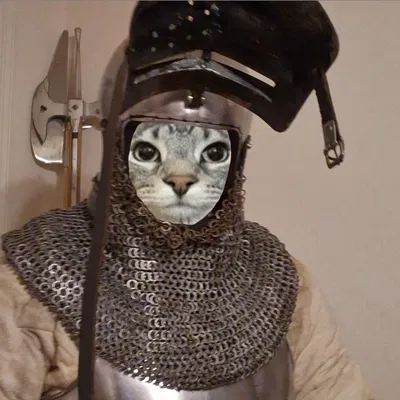 feed me more medieval slop