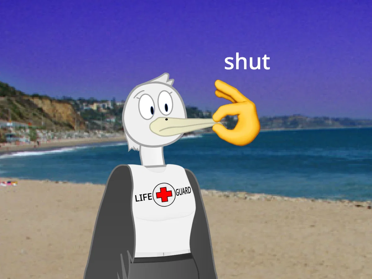 Chat with Avery Albatross