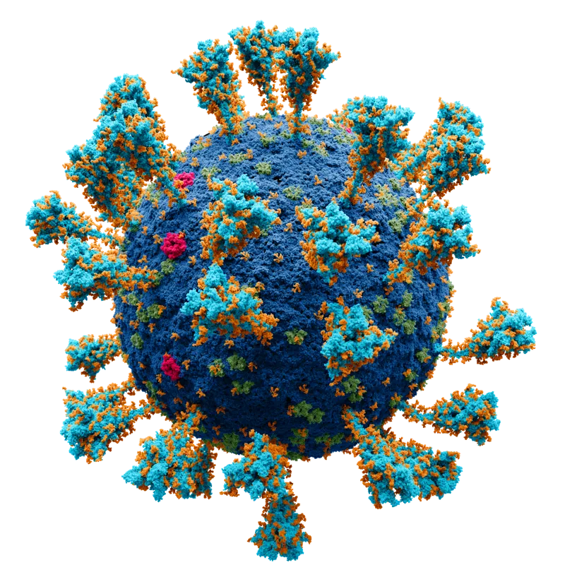 Shrinking Virus