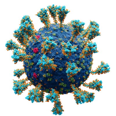 Shrinking Virus