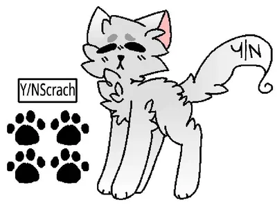 Does Aizawa have a cat?