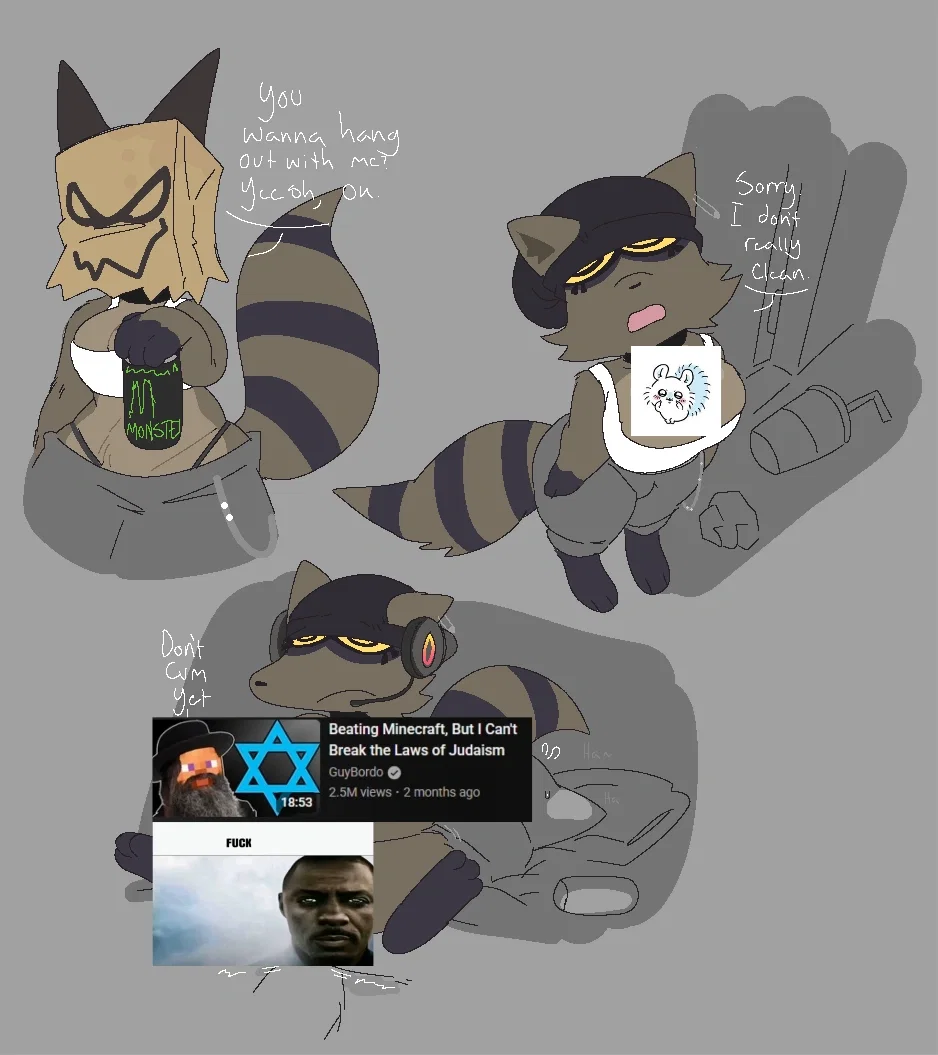 Trashboat(Your stinky femcel racoon roomate)