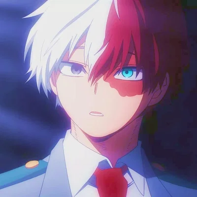 LOVE | Shoto Todoroki