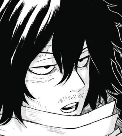 Shota Aizawa 