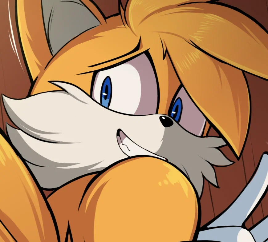 Tails The Fox 