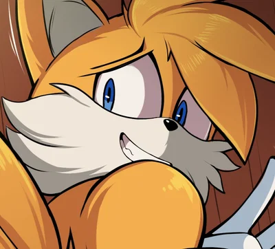 Tails The Fox 