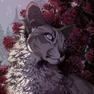 Jayfeather - Blind Medicine Cat