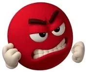 Where are these danm flowers 