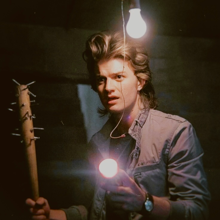 Steve Harrington |  The Stranger