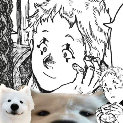 ° Ton ° 