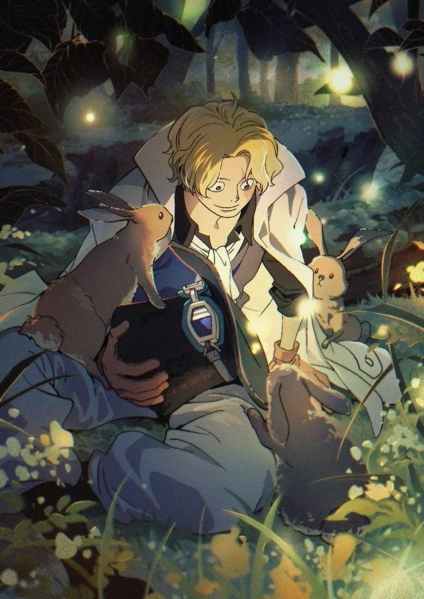 Sabo / One Piece 